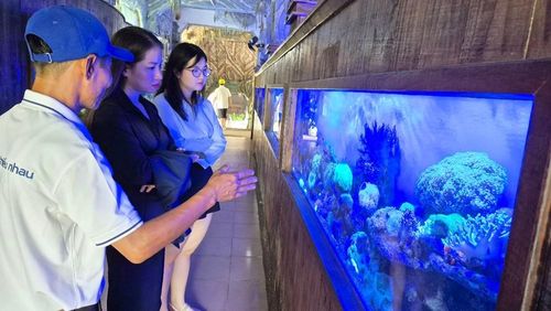 Du khách khám các loài sinh vật biển tại phá Thủy cung Trí Nguyên