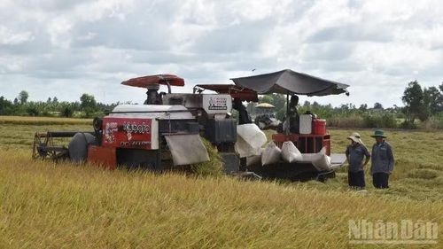 Vùng sản xuất lúa trên địa bàn tỉnh Đồng Tháp cũng được kiểm soát chặt chẽ.