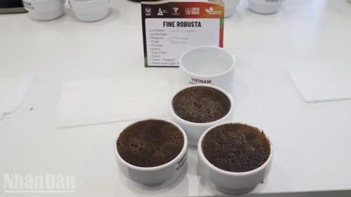 Cà-phê đặc sản Fine Robusta Đắk Lắk.
