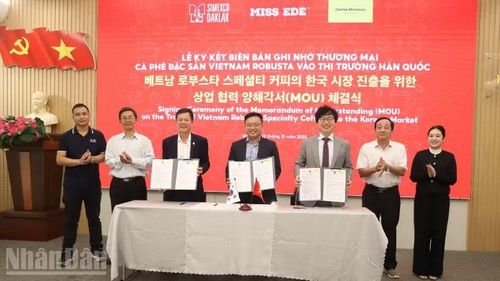 Simexco Daklak và thương hiệu Miss EDE và doanh nghiệp Hàn Quốc ký kết biên bản ghi nhớ thương mại cà-phê đặc sản Việt Nam Robusta vào thị trường Hàn Quốc.