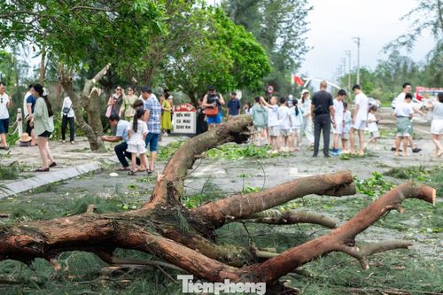 Bất chấp sự tàn phá nặng nề của bão, nhiều khách du lịch vẫn đến điểm đặt nét vẽ đầu tiên trên bản đồ Tổ quốc để check-in.