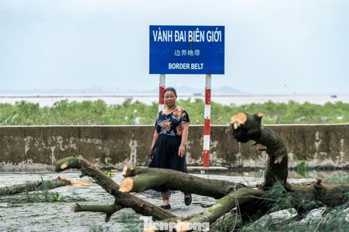 Cây cối đổ gãy vẫn nằm ngổn ngang xung quanh.
