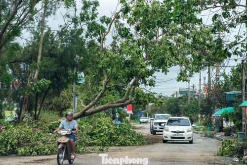 Bất chấp sự tan hoang sau bão, ô tô chở khách du lịch vẫn nườm nượp đổ về đây. "Chúng tôi có chuyến du lịch tới Quảng Ninh đáng nhớ khi đúng vào dịp bão đổ bộ. Biết bão tan, cả nhà đến Móng Cái để tham quan nhưng thấy mọi thứ vẫn còn đổ gãy ngổn ngang", một khách du lịch chia sẻ.