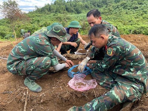 Đội quy tập lọc hài cốt trong đất.