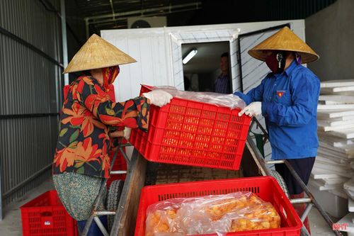 Sau đó, ớt được đưa vào kho lạnh để bảo quản trước khi vận chuyển cho doanh nghiệp.