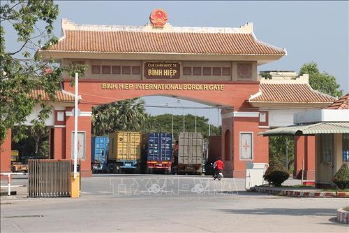 Các phương tiện thực hiện thủ tục thông quan tại Cửa khẩu quốc tế Bình Hiệp (xã Bình Hiệp, Tây Ninh). Ảnh: Bùi Giang/TTXVN