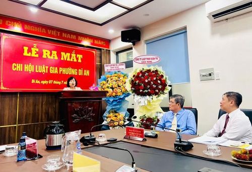Bà Nguyễn Thị Tô Châu - Phó chủ tịch Thường trực Hội Luật gia Tp.Hồ Chí Minh phát biểu.