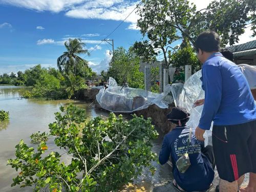 Những tấm bạt cao su được người dân xã Thanh Hưng phủ dọc mái bờ để giảm xói mòn và ngăn sạt lở lan rộng sau sự cố - Ảnh: Bùi Nguyên