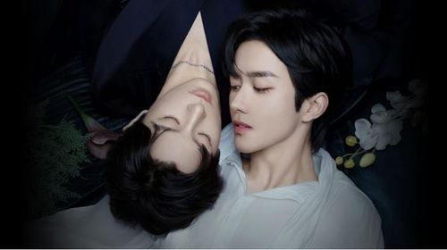 Còn được biết đến với tên gọi ABO Desire, bộ phim xoay quanh Alpha Thịnh Thiếu Du (Khâu Đỉnh Kiệt), người đứng đầu một tập đoàn dược sinh học hàng đầu, và Omega Hoa Vĩnh (Hoàng Tinh). Ngay từ lần gặp đầu tiên, cả hai đã bị thu hút mạnh mẽ bởi đối phương. Tuy nhiên, Hoa Vĩnh đang che giấu một bí mật có thể thay đổi tất cả.