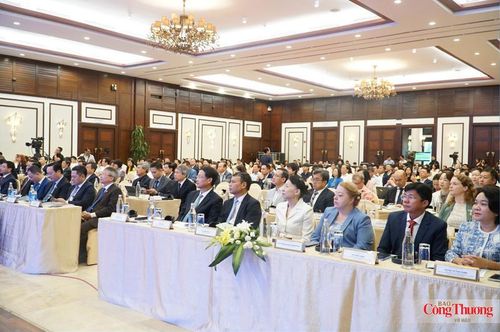 Các đại biểu tham dự chương trình