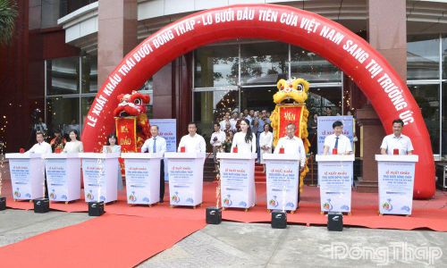 UBND tỉnh Đồng Tháp tổ chức Lễ xuất khẩu trái bưởi Đồng Tháp - lô bưởi đầu tiên của Việt Nam sang thị trường Úc. Ảnh: H. Thông