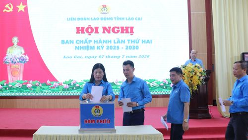 Các đại biểu bỏ phiếu bầu Ủy viên Ban Chấp hành, Ủy viên Ban Thường vụ và chức danh Phó Chủ tịch Liên đoàn Lao động tỉnh.