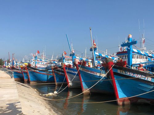 Tàu cá của ngư dân Lâm Đồng neo đậu ven bờ