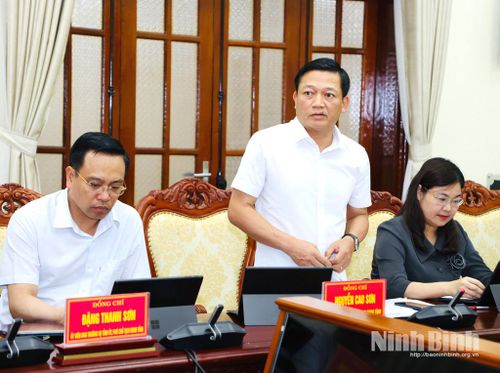 Đồng chí Nguyễn Cao Sơn, Tỉnh ủy viên, Phó Chủ tịch UBND tỉnh phát biểu tại hội nghị.
