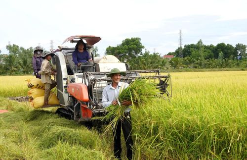 Mô hình kinh tế tổng hợp của ông Đặng Văn Luân mang lại hiệu quả kinh tế cao - Ảnh: B.N