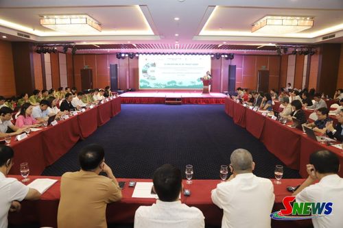 Khởi động Dự án C4G.