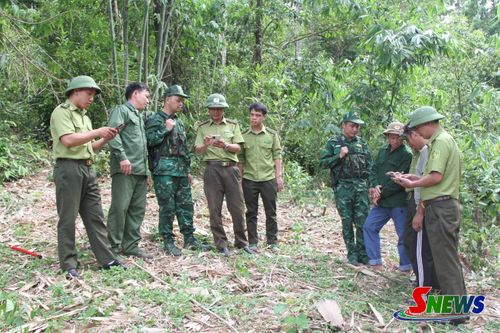 Sử dụng ứng dụng trên thiết bị thông minh để kiểm tra rừng.