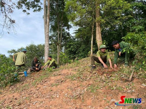Cán bộ Ban Quản lý Khu rừng đặc dụng Xuân Nha cùng nhân dân trồng rừng.
