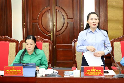 Chủ tịch Hội LHPN tỉnh Âu Thị Mai thảo luận tại hội nghị.
