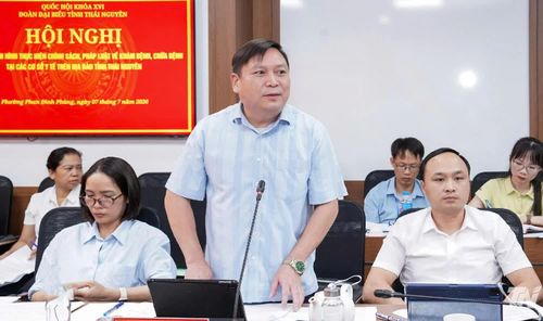 Đại biểu phát biểu tại buổi làm việc.