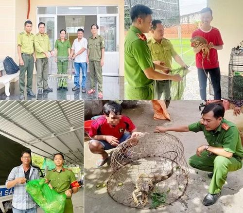 CATP Cần Thơ phối hợp lực lượng kiểm lâm tiếp nhận, bàn giao cá thể động vật hoang dã do người dân tự nguyện giao nộp.