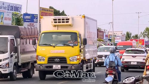 Khu vực chợ Nhà Phấn (Xã Lương Thế Trân) có mật độ phương tiện lưu thông cao, đặc biệt là xe tải và ô tô.