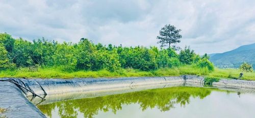 Hệ thống hồ chứa nước được đầu tư ngay trong khu sản xuất giúp chủ động nguồn tưới trong mùa khô, góp phần duy trì độ ẩm và bảo đảm phát triển bền vững cho vườn cây