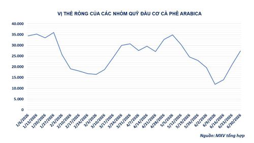 Diến biến vị thế ròng của các nhóm quỹ đầu cơ cà phê. Nguồn: MXV