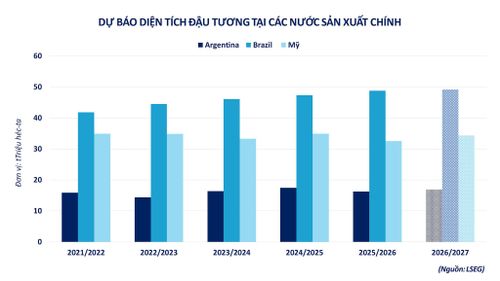 Dự báo diện tích đậu tương tại các nước sản xuất chính. Nguồn: MXV