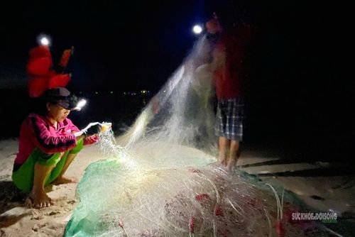 Người dân gỡ lưới dưới ánh đèn pin trong phiên chợ cá sớm.