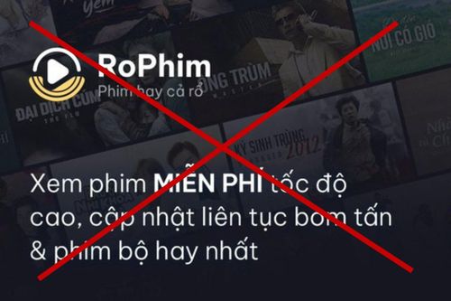 Nhiều website đăng tải phim lậu đã bị xóa sổ.