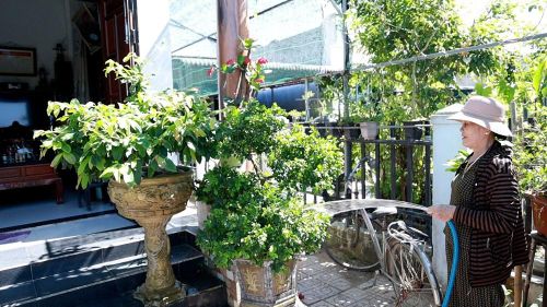 Việc thiếu hồ sơ pháp lý từ thời điểm bố trí tái định cư khiến quá trình cấp giấy chứng nhận quyền sử dụng đất kéo dài nhiều năm