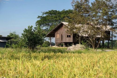 Ngôi nhà nằm trên khu đất rộng gần 2 mẫu Anh (khoảng 8.000 m²). Thay vì san gạt địa hình để xây dựng một công trình áp đảo cảnh quan, nhóm thiết kế lựa chọn cách tiếp cận ngược lại: để địa hình quyết định kiến trúc. Khoảng đất rộng vẫn được giữ gần như nguyên trạng với đồng lúa, cây bản địa, hồ nước và những khoảng xanh nối tiếp nhau. Kiến trúc vì thế chỉ chiếm một phần rất nhỏ trong tổng thể, nhường vai trò trung tâm cho hệ sinh thái tự nhiên.
