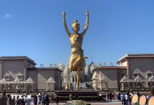Akshardham gây ấn tượng với hơn 10.000 bức tượng và phù điêu tinh xảo, tái hiện các nhạc cụ cổ, điệu múa truyền thống và biểu tượng văn hóa Ấn Độ. (Ảnh: Ngọc Quang/TTXVN)