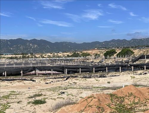 Đất xung quanh khu vực vùng lõi Nhà máy điện hạt nhân Ninh Thuận 1 (xã Phước Dinh) gặp khó khăn trong việc quy chủ, xác minh nguồn gốc. Ảnh: Công Thử/TTXVN