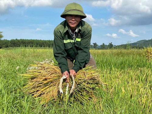 Người dân Nghệ An với sự mộc mạc, giản dị nhưng luôn ấm áp, nghĩa tình. Ảnh: báo Lao Động