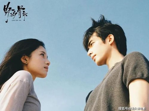 Chó Hoang Và Xương do Tống Uy Long, Trương Tịnh Nghi và Lương Tĩnh Khang đóng chính, được chuyển thể từ tiểu thuyết cùng tên, xoay quanh những mối quan hệ nhiều tổn thương, quá trình trưởng thành và sự chữa lành giữa các nhân vật. Dù có thay đổi so với nguyên tác, tác phẩm vẫn nhận được phản hồi khá tích cực từ nhóm khán giả yêu thích câu chuyện gốc. Nhiều người xem đánh giá phim có nhịp kể cảm xúc, tập trung vào sự giằng xé trong mối quan hệ của cặp nhân vật chính. Tống Uy Long được chú ý khi thử sức với hình tượng gai góc hơn những vai diễn trước, còn Trương Tịnh Nghi được nhận xét phù hợp với nét mềm mại, giàu cảm xúc của nhân vật.