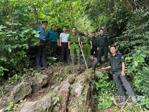 Lãnh đạo UBND xã Yên Bình phối hợp Ban Quản lý rừng đặc dụng và phòng hộ thả cá thể khỉ mốc về rừng đặc dụng Hữu Liên
