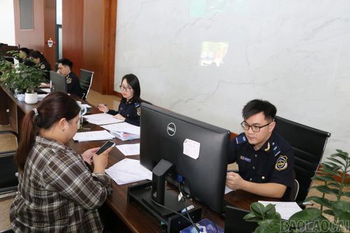Cán bộ hải quan thực hiện kiểm tra hồ sơ, giám sát hàng hóa tại khu vực cửa khẩu.
