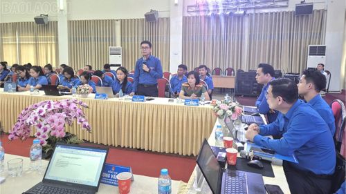 Nhiều đại biểu đề xuất giải pháp tháo gỡ khó khăn nhằm nâng cao chất lượng công tác Đoàn và phong trào thanh thiếu nhi trong thời gian tới.