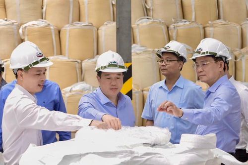 Lãnh đạo tỉnh Lâm Đồng trong chuyến thăm và làm việc tại Công ty Nhôm Lâm Đồng - TKV