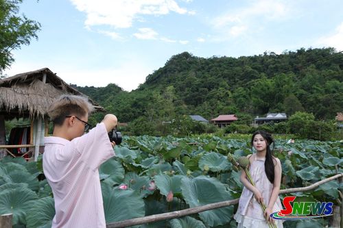 Đầm sen ở bản Híp, phường Chiềng Sinh, điểm check in được nhiều người ưu thích.