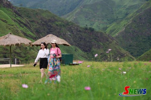 Đoàn Famtrip khảo sát tại khu vực cây cô đơn.