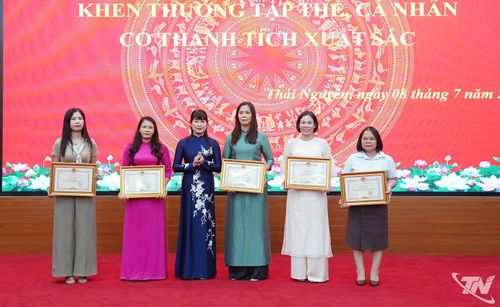 Lãnh đạo Sở Văn hóa, Thể thao và Du lịch trao khen thưởng cho các tập thể, cá nhân.