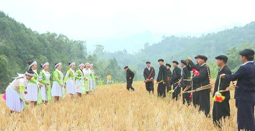 Những quả pao nhiều màu sắc kết nối trai gái người Mông trong các lễ hội xuân vùng cao.