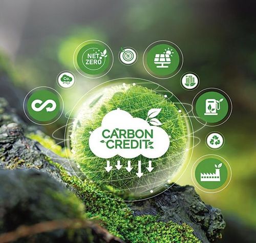 Để trở thành hàng hóa trên thị trường (tín chỉ carbon) phải trải qua quy trình đo đạc, thẩm định, xác minh và cấp chứng nhận theo quy định - Ảnh minh họa