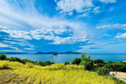 Không gian khoáng đạt trên Đồi Cổ Thạch. Ảnh: NL