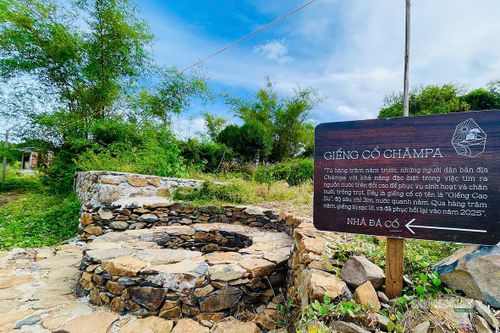 Bảng giới thiệu giếng cổ Chăm Pa. Ảnh: NL
