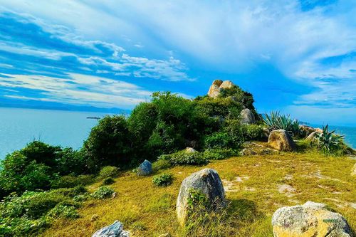 Triền đồi phủ cỏ và đá ven biển. Ảnh: NL