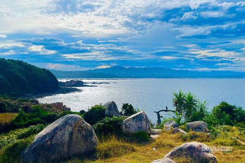 Tầm nhìn rộng mở ra biển Phú Yên. Ảnh: NL